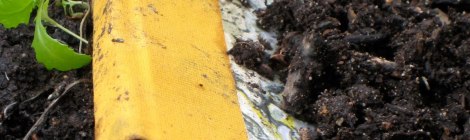 Chuck_Grykks_Zach_Diamond