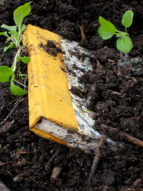 Chuck_Grylls_Zach_Diamond